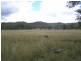 Cinnabar QLD 4600