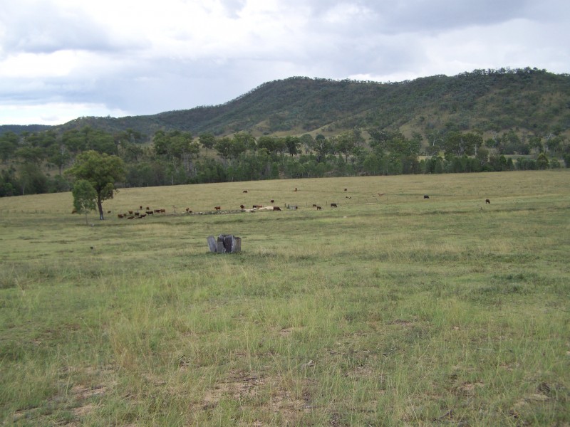 Cinnabar QLD 4600