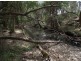 Kilkivan QLD 4600