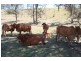 Widgee QLD 4570