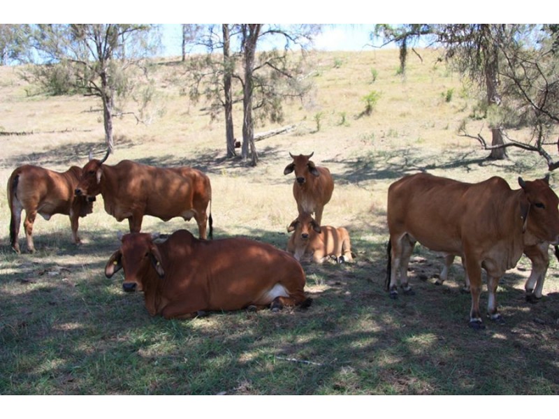 Widgee QLD 4570