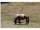 Widgee QLD 4570