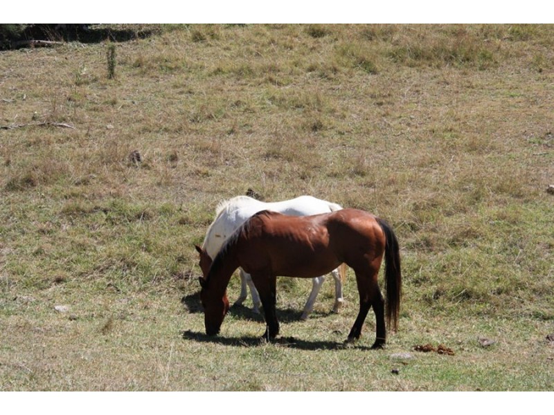 Widgee QLD 4570