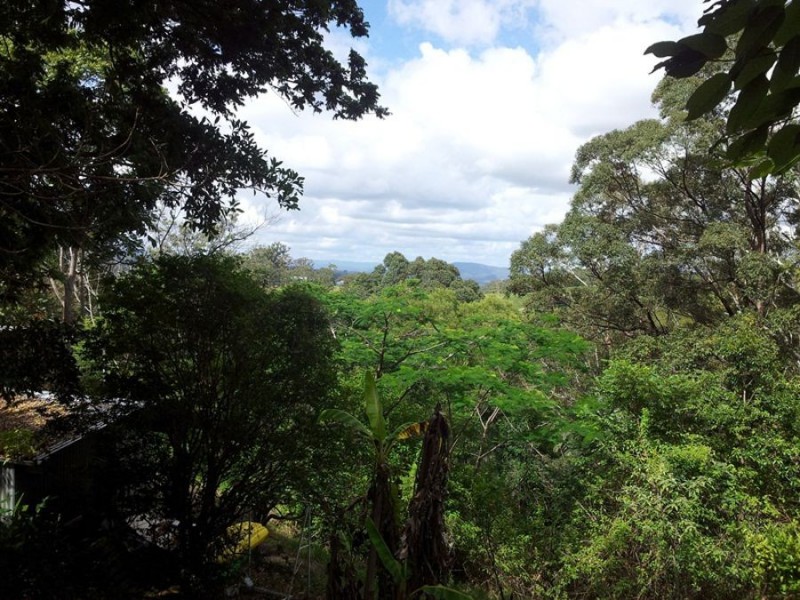 34 Butterfly Lane, Black Mountain QLD 4563