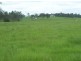 Amamoor QLD 4570