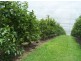 Amamoor QLD 4570