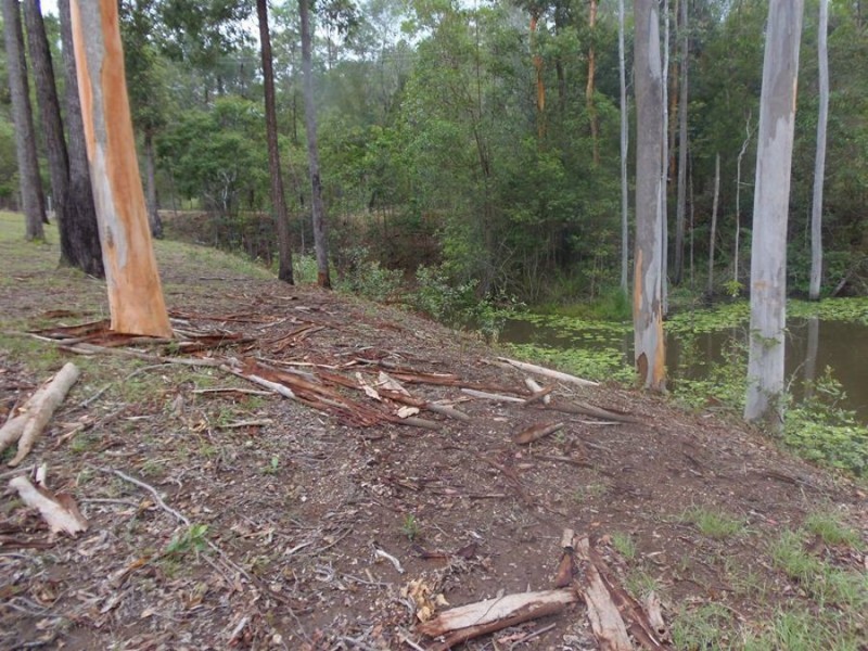 Lot 70 Green Trees Road, Pie Creek QLD 4570