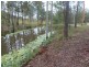 Lot 70 Green Trees Road, Pie Creek QLD 4570