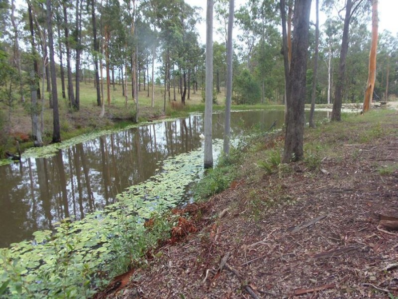 Lot 70 Green Trees Road, Pie Creek QLD 4570