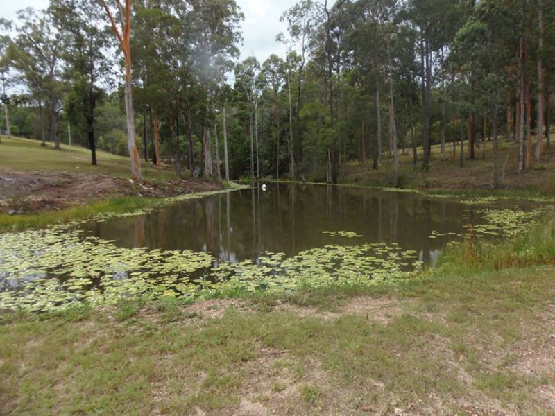 Lot 70 Green Trees Road, Pie Creek QLD 4570