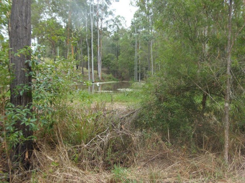 Lot 70 Green Trees Road, Pie Creek QLD 4570