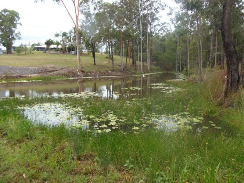 Lot 70 Green Trees Road, Pie Creek QLD 4570