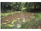 Canina QLD 4570