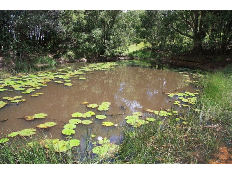 Canina QLD 4570