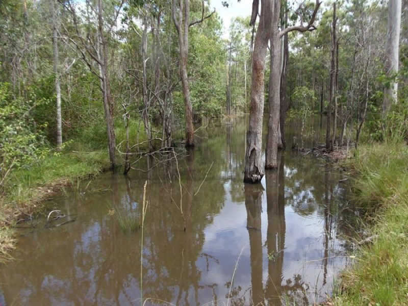 372 Arborfive Road, Glenwood QLD 4570