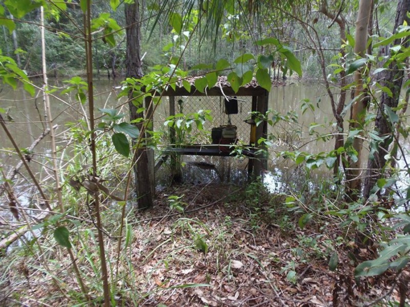 372 Arborfive Road, Glenwood QLD 4570