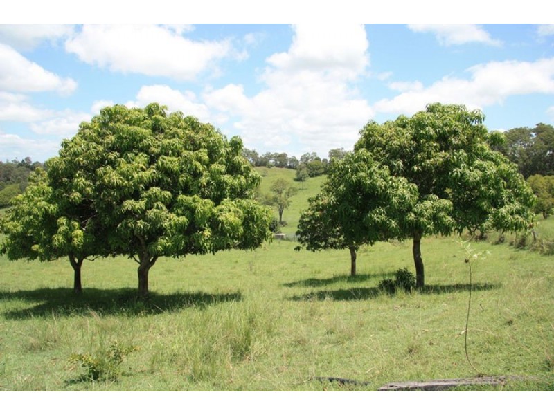 Greens Creek QLD 4570