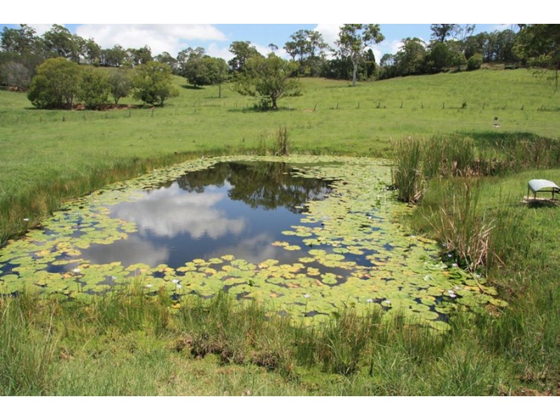 Greens Creek QLD 4570