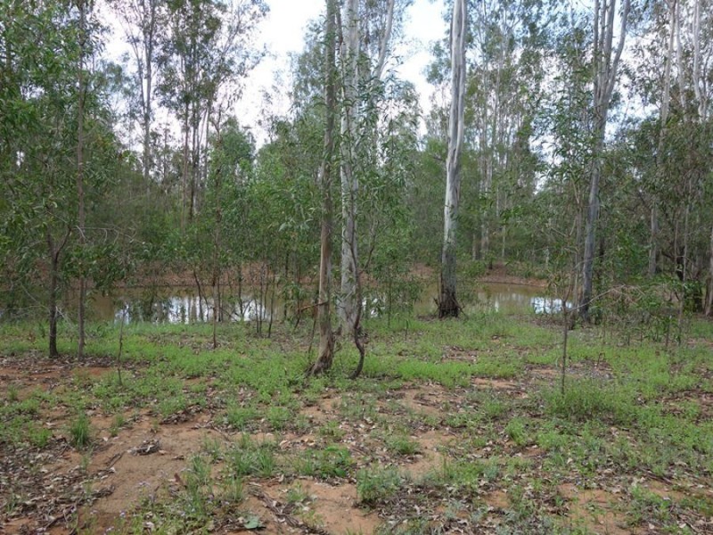 36 Scott Thomas Drive, Sexton QLD 4570