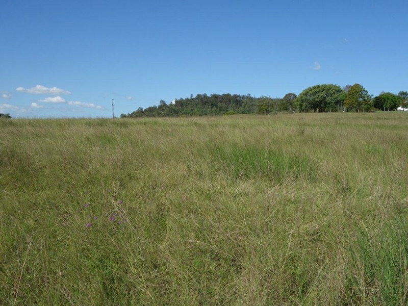 Lot 14 Jensen Road, Lower Wonga QLD 4570