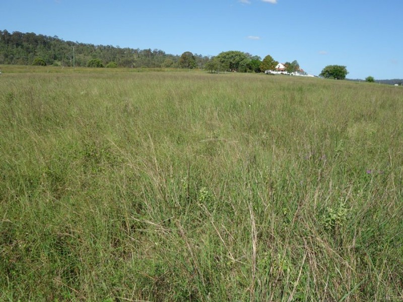 Lot 14 Jensen Road, Lower Wonga QLD 4570