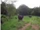 North Deep Creek QLD 4570
