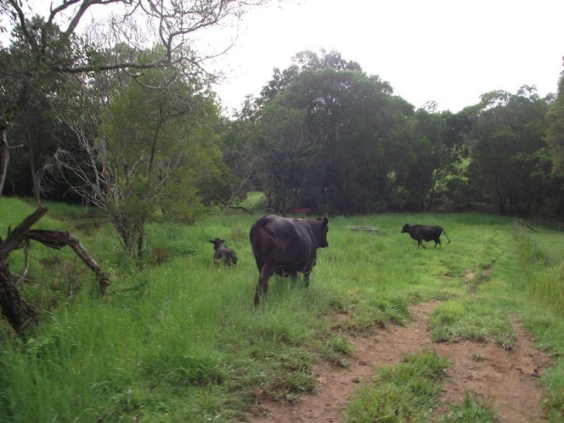 North Deep Creek QLD 4570