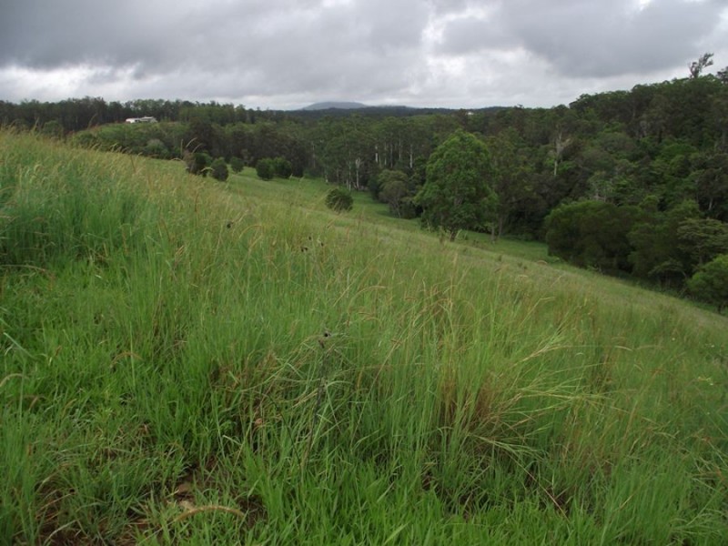 North Deep Creek QLD 4570