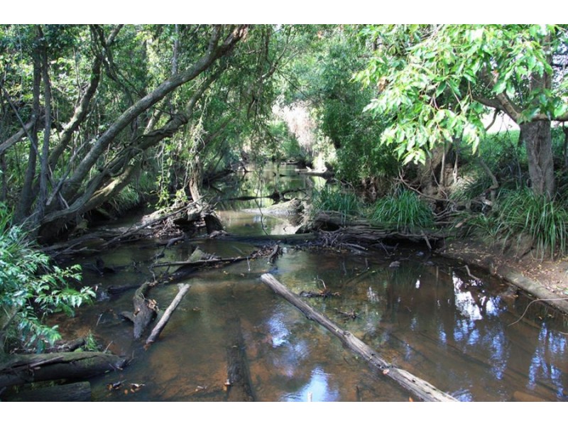 Wilsons Pocket QLD 4570