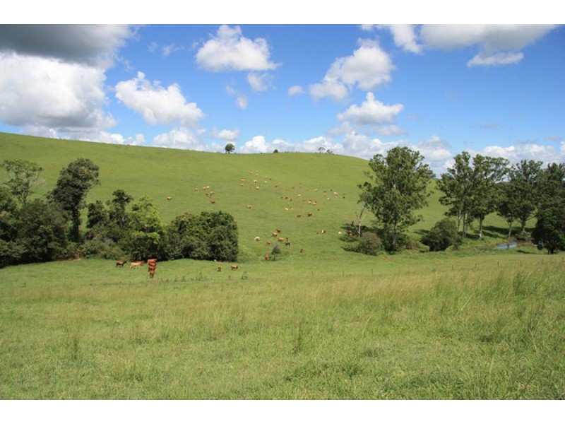 Wilsons Pocket QLD 4570