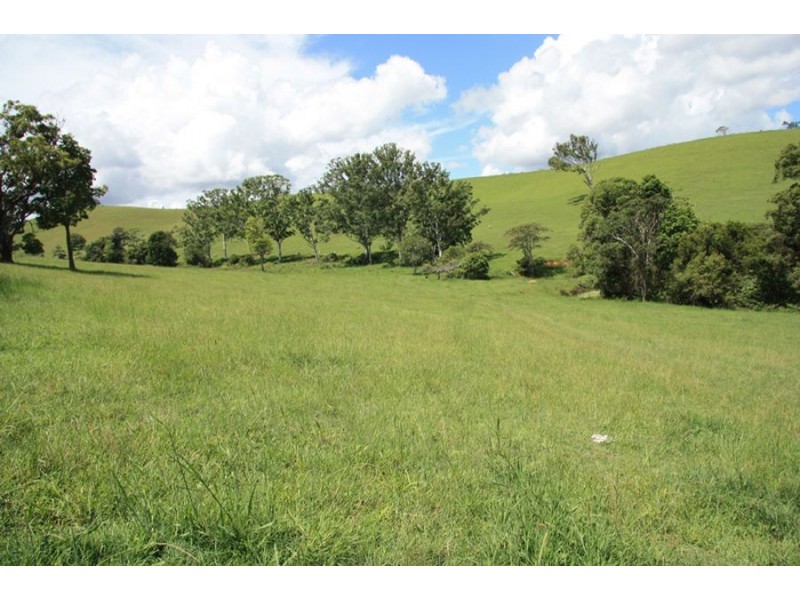 Wilsons Pocket QLD 4570