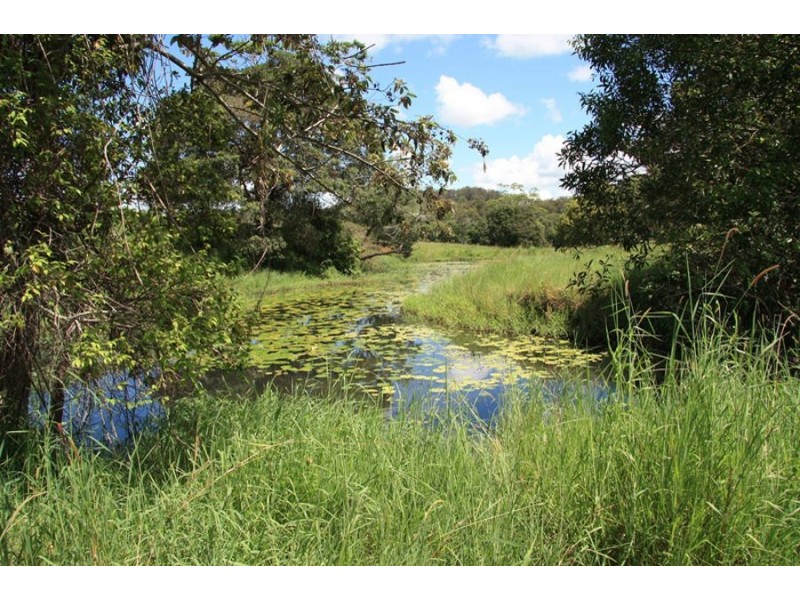 Wilsons Pocket QLD 4570