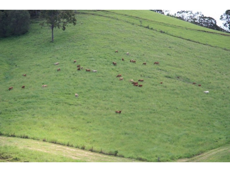 Wilsons Pocket QLD 4570