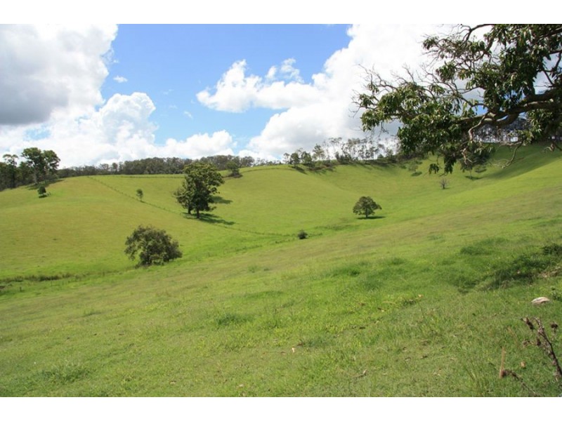 Wilsons Pocket QLD 4570