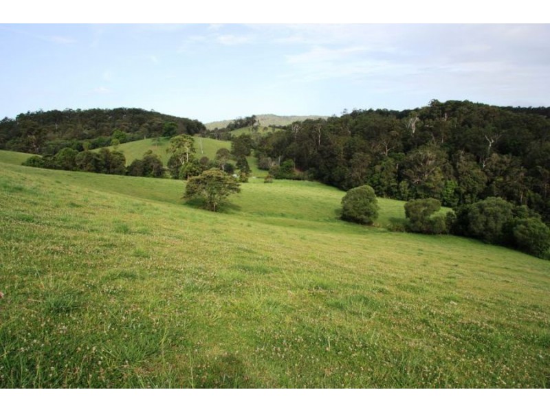 Wilsons Pocket QLD 4570