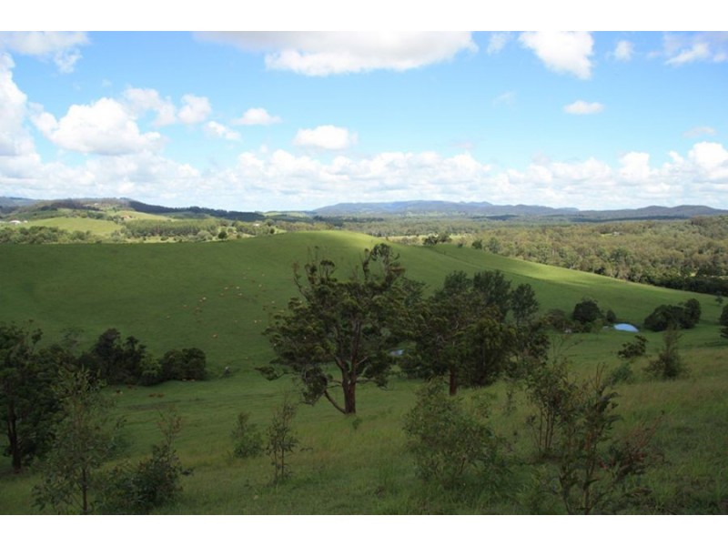 Wilsons Pocket QLD 4570