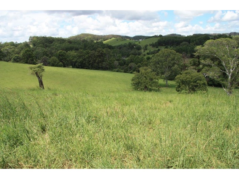 Wilsons Pocket QLD 4570