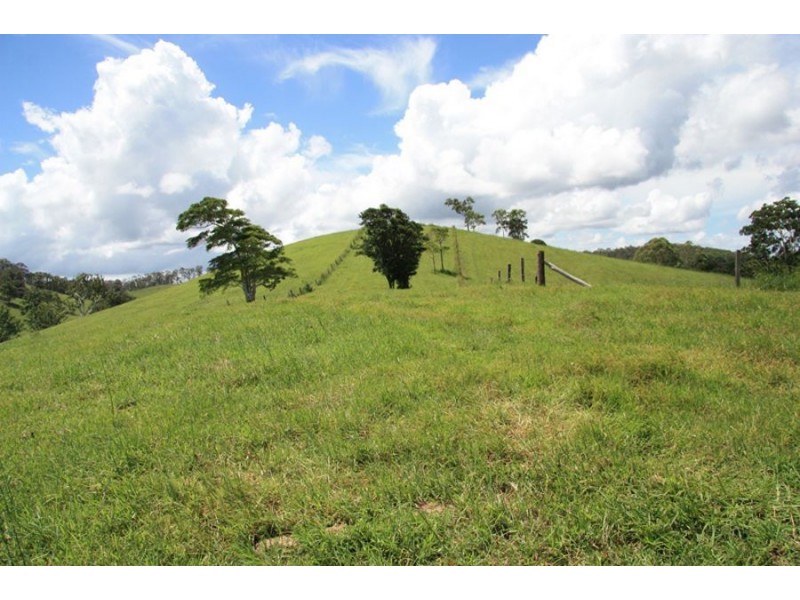 Wilsons Pocket QLD 4570