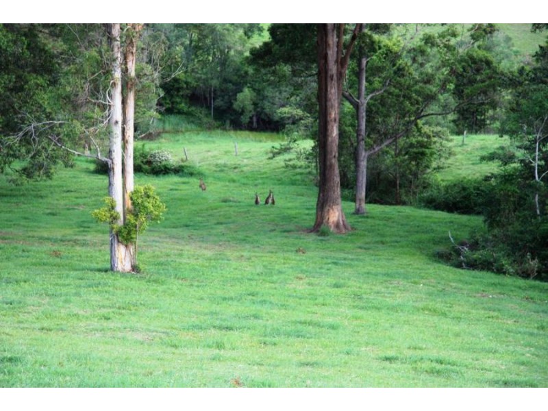 Wilsons Pocket QLD 4570