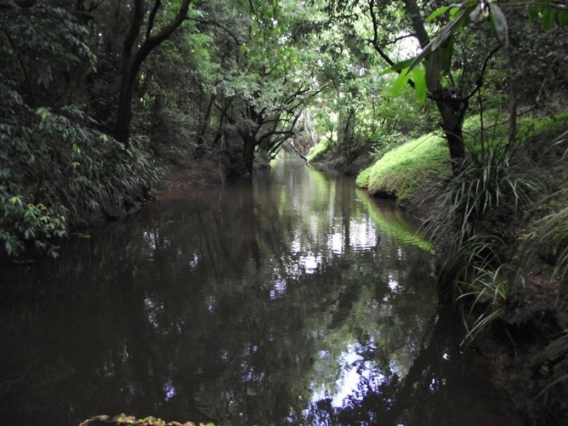 Goomboorian QLD 4570