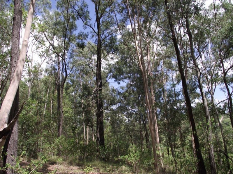Woolooga QLD 4570