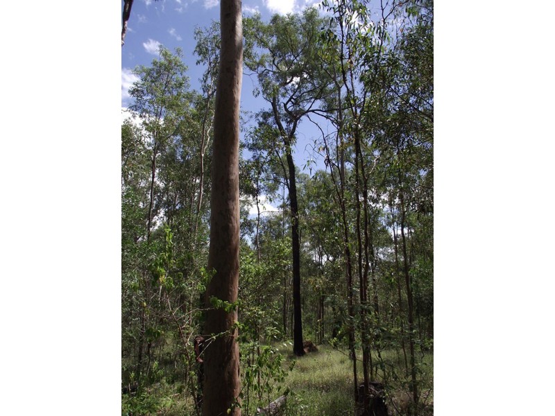 Woolooga QLD 4570