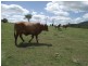 Woolooga QLD 4570