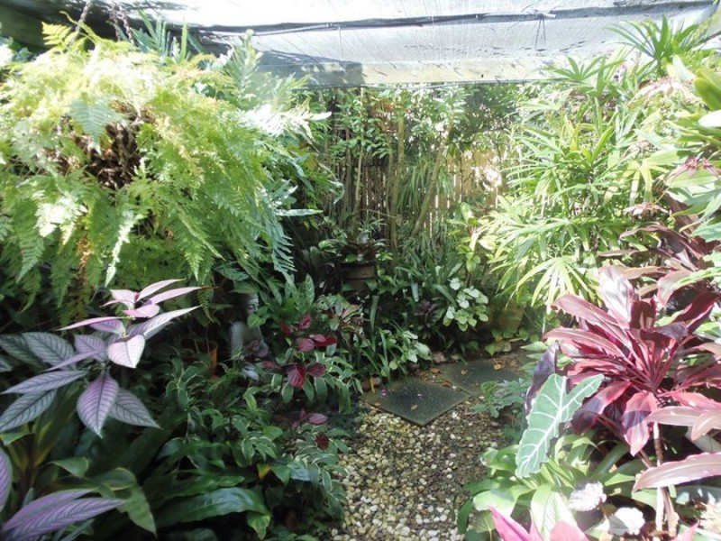 12 Exhibition Road, Southside QLD 4570