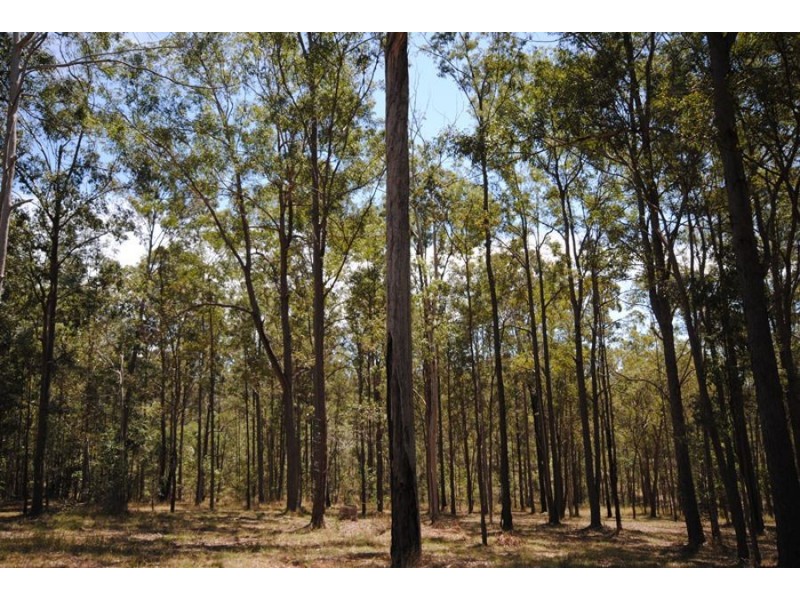 Lot 198 Sunrise Road, Glenwood QLD 4570