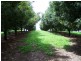 Canina QLD 4570