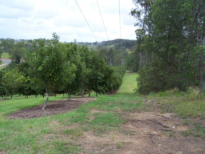Canina QLD 4570