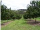 Canina QLD 4570