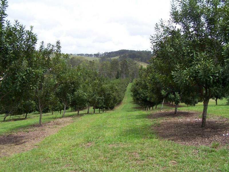 Canina QLD 4570