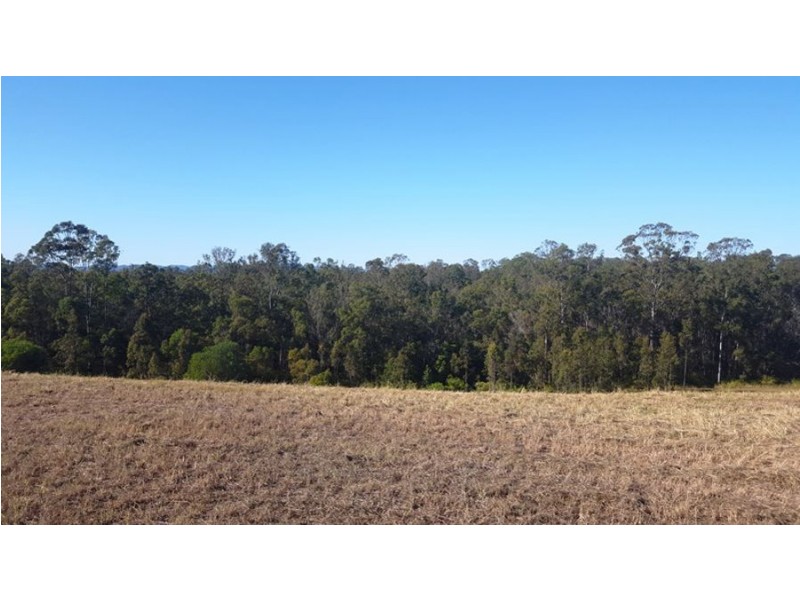 Lot 22 Forest Ridge Drive, Tamaree QLD 4570